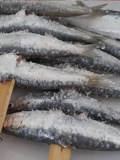 Una foto de Espetos de sardinas