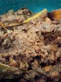 Gudeg