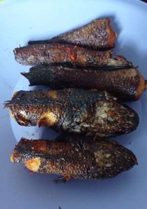 Foto resep Ikan gabus bumbu instan