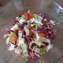 A picture of Rainbow Salad.