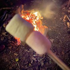 A picture of Proper S’mores.