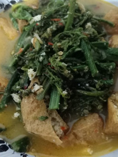 Foto resep Sayur pakis masak Santan
