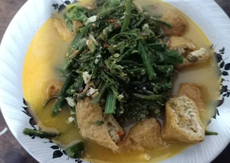 Resep Sayur pakis masak Santan, Enak