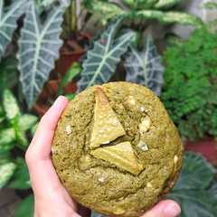 Matcha Soft Cookies রেসিপির প্রধান ছবি