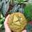 Matcha Soft Cookies