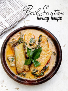 Foto resep Pecel Santan Terong Tempe