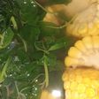 Sayur bening bayam jagung