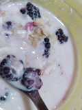 Postre fit con 12 g de proteína natural
