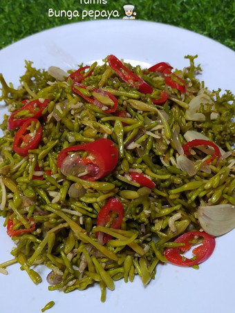 Resep Tumis bunga pepaya tdk pahit Anti Gagal