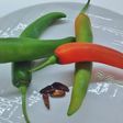 Peperoncini: diabolica bontà. Varietà e una ricetta veloce e interessante per i più coraggiosi