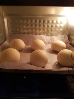 Foto resep Mini Bun