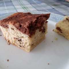 Foto principal de Bizcocho con pepitas de chocolate light
