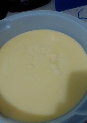 Una foto de Natilla para flojo