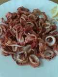Frittura di totani