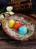 Telur Dinasour