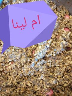 صورة لوصفة البقولة المغربية