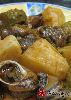 A picture of Grandmother Evanthia's hohlioi (snails).