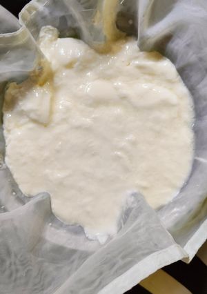 Foto resep Homemade Greek Yogurt (Susu Pasteurisasi Susu Murni)