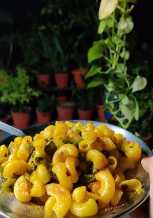 A picture of Macaroni.