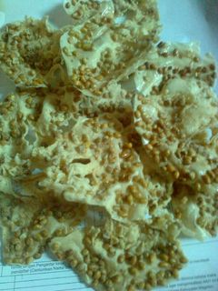 Foto resep Peyek kedelai