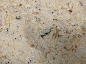 A picture of chickpeas rice