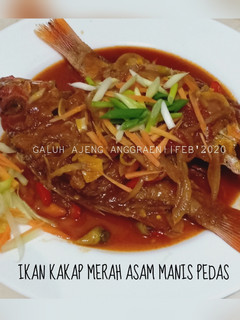 Foto resep Ikan Kakap Merah Asam Manis Pedas