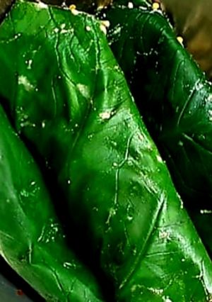 A picture of Steamed arbi leaves.