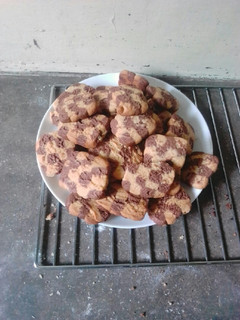 A picture of Chessboard cookies.