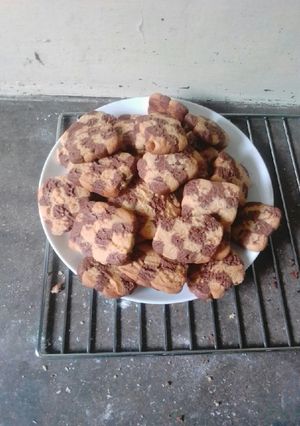 A picture of Chessboard cookies.