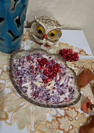 عکسی از دستور سالاد انار