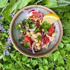 A picture of White Bean Salad 🌱.