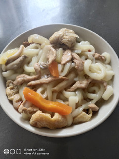 A picture of Udon.