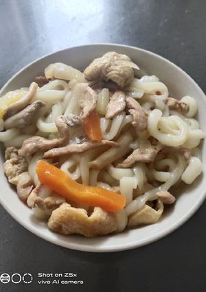 A picture of Udon.