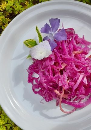 Una foto de Col agridulce al estilo Michoacan