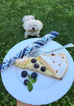 Pudingos áfonyás pite recept fotója