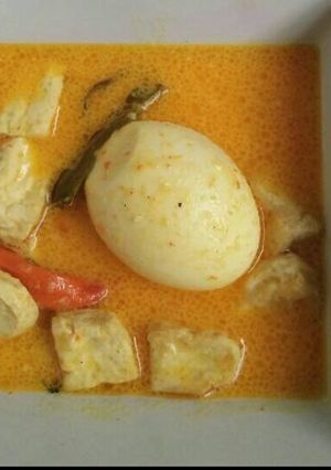 Foto resep Tahu telur kuah santan