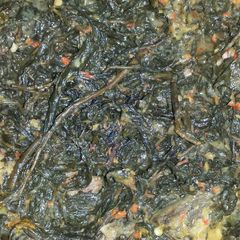 A picture of Bitterleaf soup.
