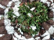 A picture of onion salt