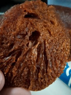 Foto resep Bolu sarang semut 3 telur