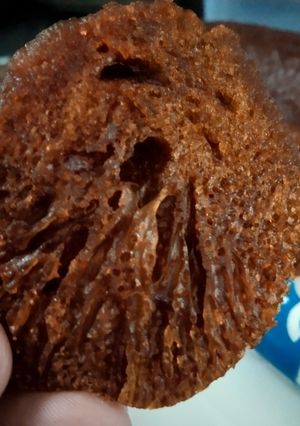Foto resep Bolu sarang semut 3 telur