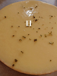 檸檬塔 不含吉利丁 的食譜成品照片