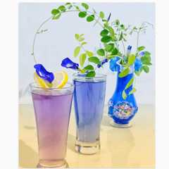 A picture of Minuman Bunga Telang.