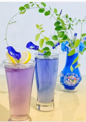 Foto resep Minuman Bunga Telang