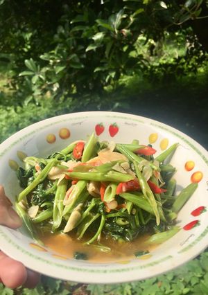 Foto resep Tumis Kangkung