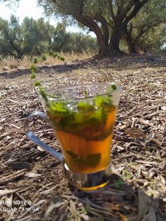 صورة لوصفة شاي مغربي بالنعناع في الطبيعة