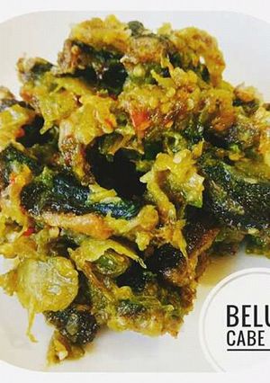 Foto resep Belut cabe ijo