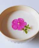 Lòng trắng TRỨNG hấp sữa tươi