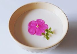Lòng trắng TRỨNG hấp sữa tươi