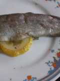 Spigola