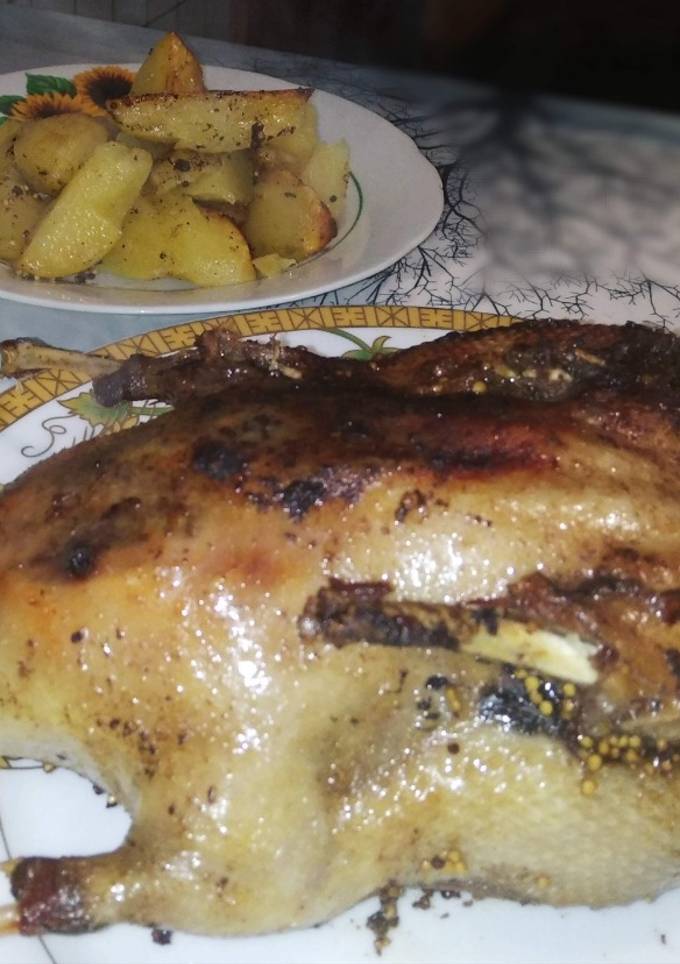 Запечена дика качка